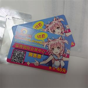 Convention & Activity Prepaid RFID Card